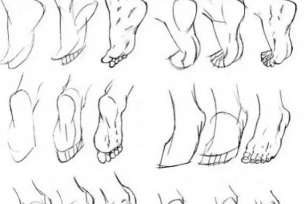 正面人物的脚怎么画，先从小腿到脚踝再到脚背和脚趾