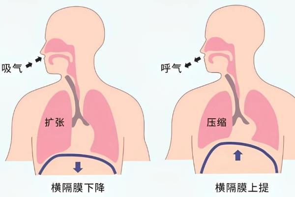 女播音员的声音怎么模仿，把握语调、停顿等方面才能更好地学习