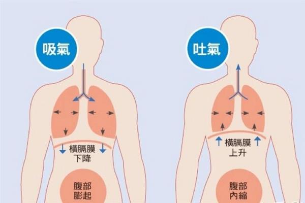 如何正确地练气息，建议选择胸腹联合呼吸