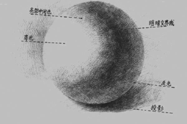 新手学画画如何快速确定明暗关系，首先要确定光源