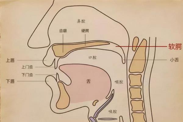 女生声音不好听如何改善，保持适宜的语速能提高听觉体验