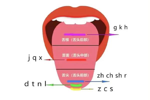 新手怎么练出播音腔，需加强吐字归音的练习