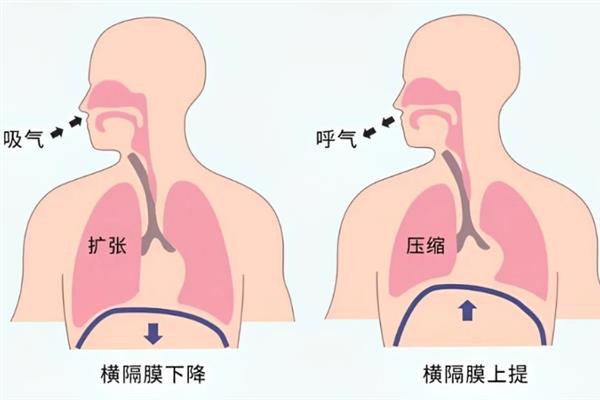 嘿哈气息训练的注意事项，练习时先要进行热身的运动