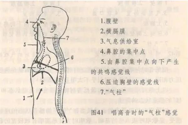 嘿哈气息训练的注意事项，练习时先要进行热身的运动