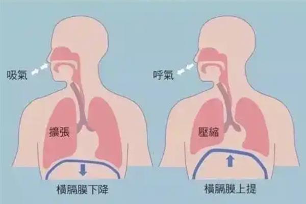 怎么练声，将气、声、字三者进行结合