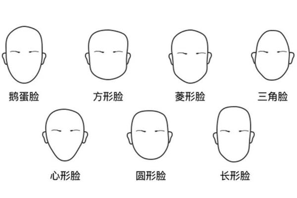 怎么画人物脸部，首先需要绘制脸部外轮廓线