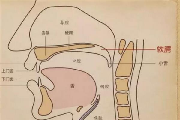 说话让声音温柔好听的方法，轻言细语并保持亲切委婉