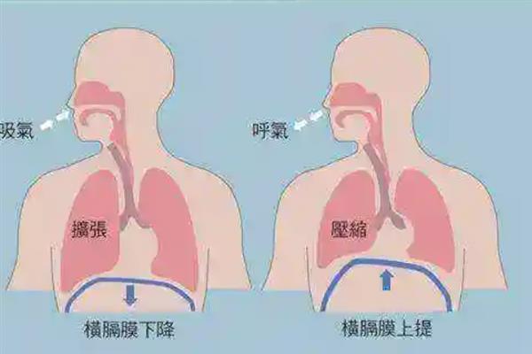 说话让声音温柔好听的方法，轻言细语并保持亲切委婉