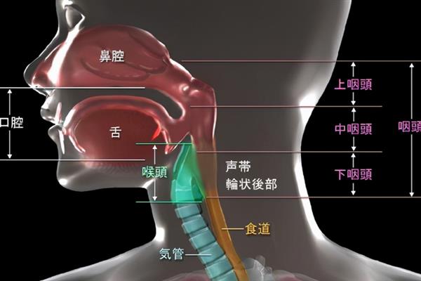 说话让声音温柔好听的方法，轻言细语并保持亲切委婉