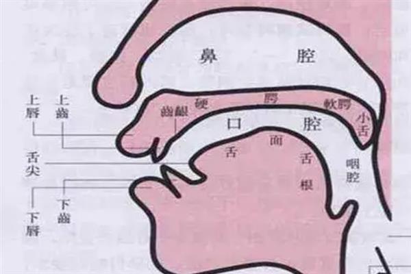 口水音太重如何解决，录制前打开口腔可减少此类声音