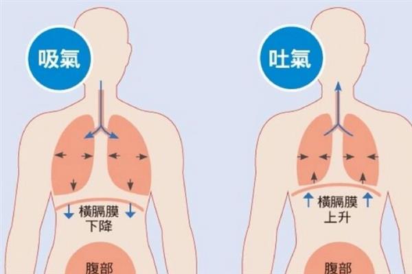 伪音找到音阶后如何说话，多通过一些简单的字词来进行练习