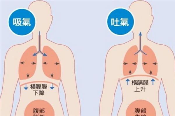 让声音变得甜美柔和的方法，训练气息能增加声音的弹性