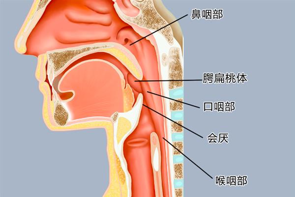 说话发音位置靠前会如何，会导致自己的声音尖锐