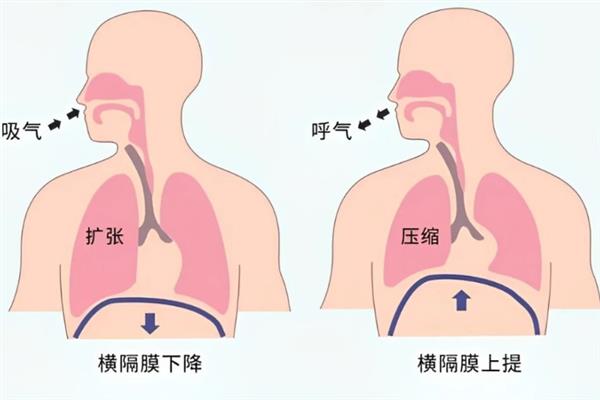 说话发音位置靠前会如何，会导致自己的声音尖锐