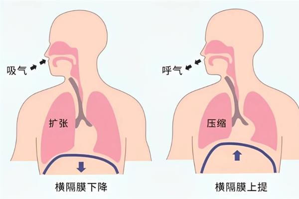 女生声音粗怎么能变细，可以适当调整自己的说话方式