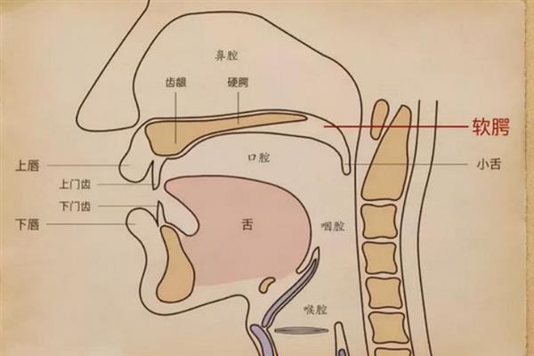 声音太薄如何解决，练习句子或绕口令能增加声带的弹性