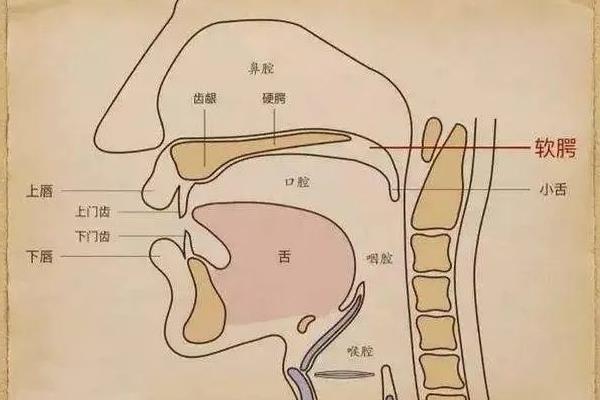 挤嗓子的意思，意思是声音比较单薄干扁