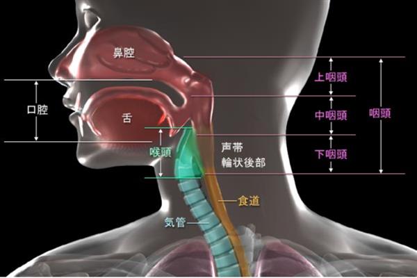 自己声音不好听怎么解决，可以改善发音方式