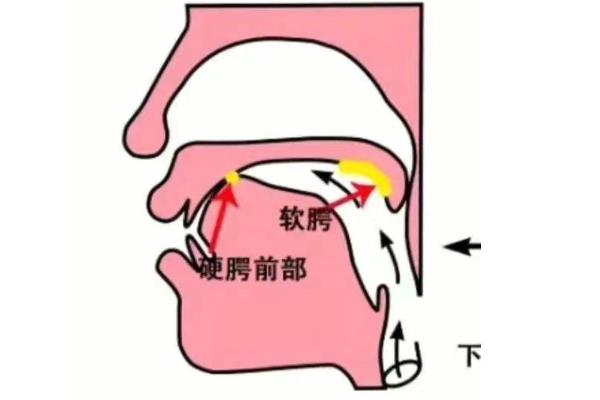 练好普通话的方法，跟着播音员进行跟读可纠正错音