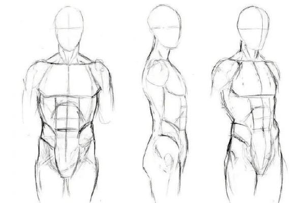 怎样快速画出人体结构，掌握好以下5个技巧