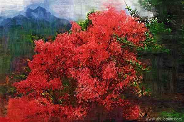 四川阿坝米亚罗风景油画效果图片