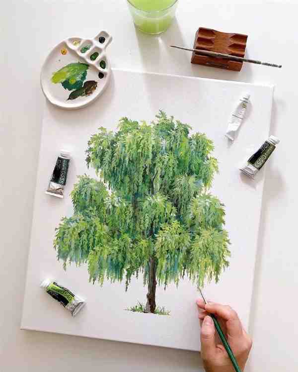 插画师Yirang Kim清新治愈的绿色树木水彩手绘作品