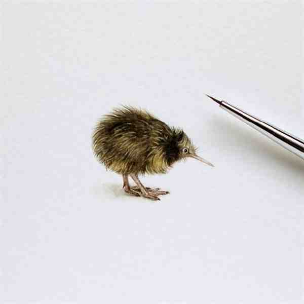 艺术家手绘袖珍水彩动物画图片