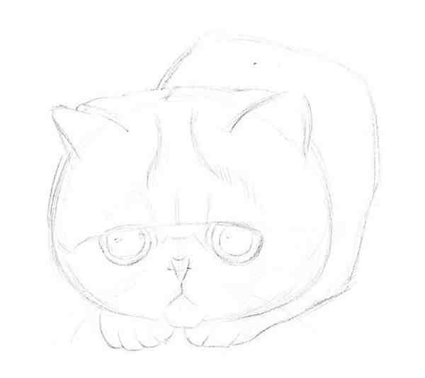 萌萌的大脸猫彩铅画教程步骤