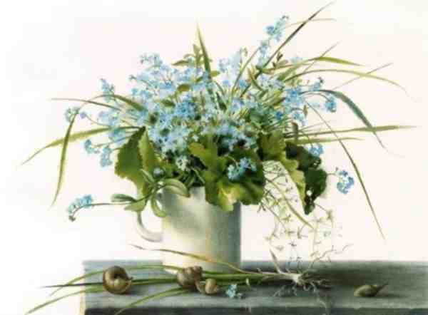 俄罗斯画家 Elena Bazanova水粉作品欣赏