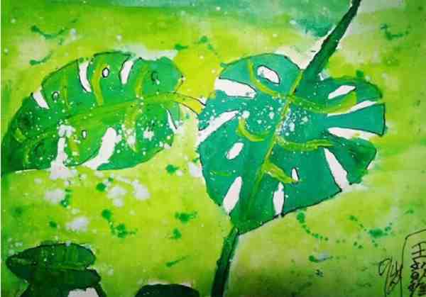 植物写生 儿童水粉画图片大全