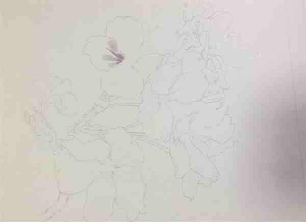 水粉樱花盛开的教程步骤