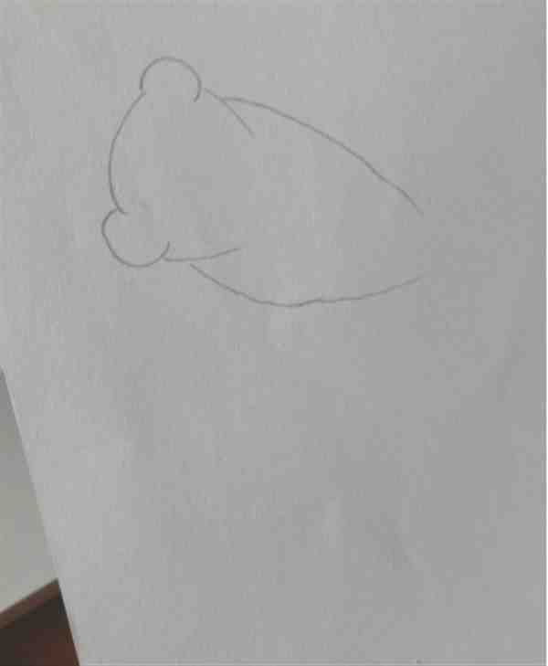 水粉画鱼的画法步骤