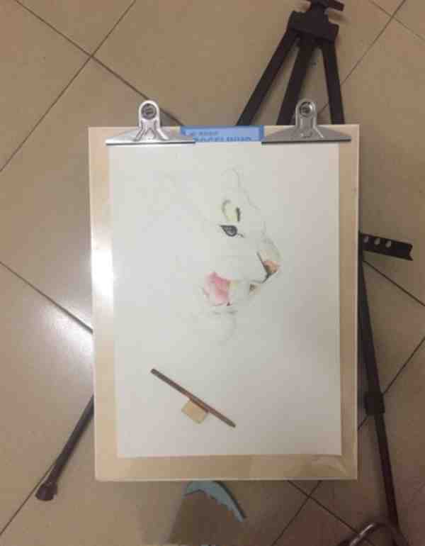 如何画老虎彩铅画步骤教程