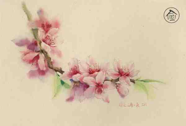 古风水彩桃花画详细教程