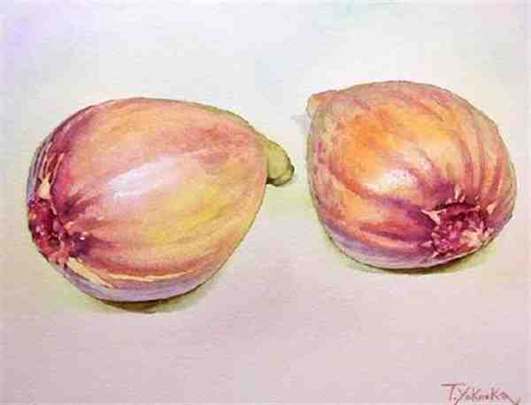 日本水彩画家takumi_yokooka蔬果水彩画作品