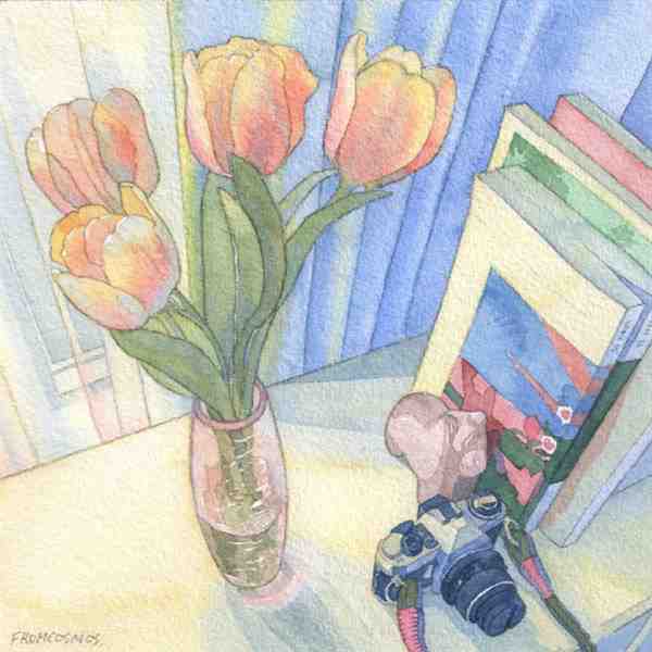 画师Jeongha Kim记录日常的温馨水彩插画作品