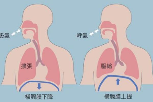 如何用丹田发音，先找到肚脐眼下三寸的位置