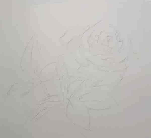 适合新手的圆珠笔画玫瑰教程