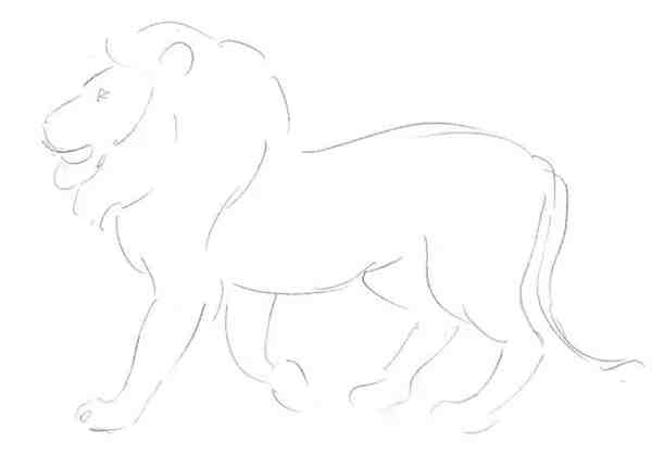 简单学画画 小动物素描图解