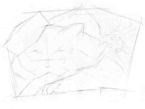 猫咪3d立体绘画教程