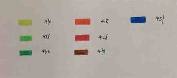 多肉彩铅绘画教程步骤图