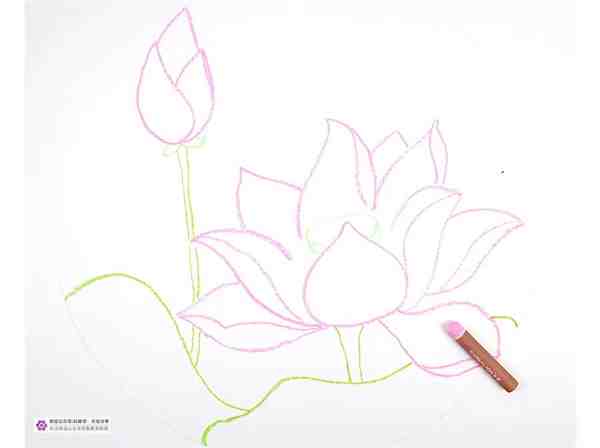 油画棒绘画教程视频 荷花绘画