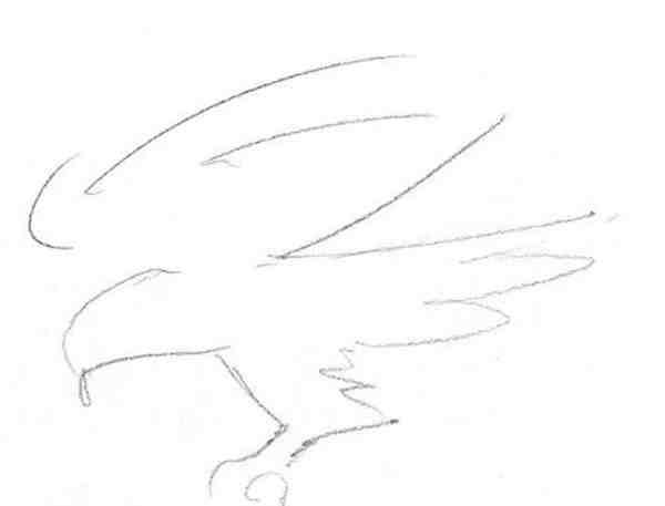 学绘画的入门教程 动物绘画教程