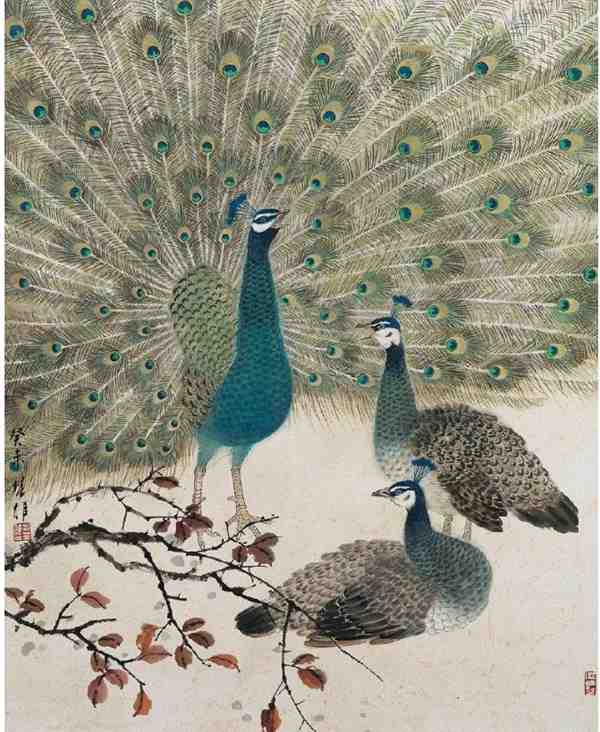 孔雀国画作品图片欣赏 美丽的孔雀绘画作品