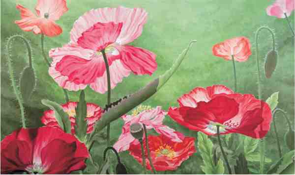 1到12月的花怎么画好看又漂亮