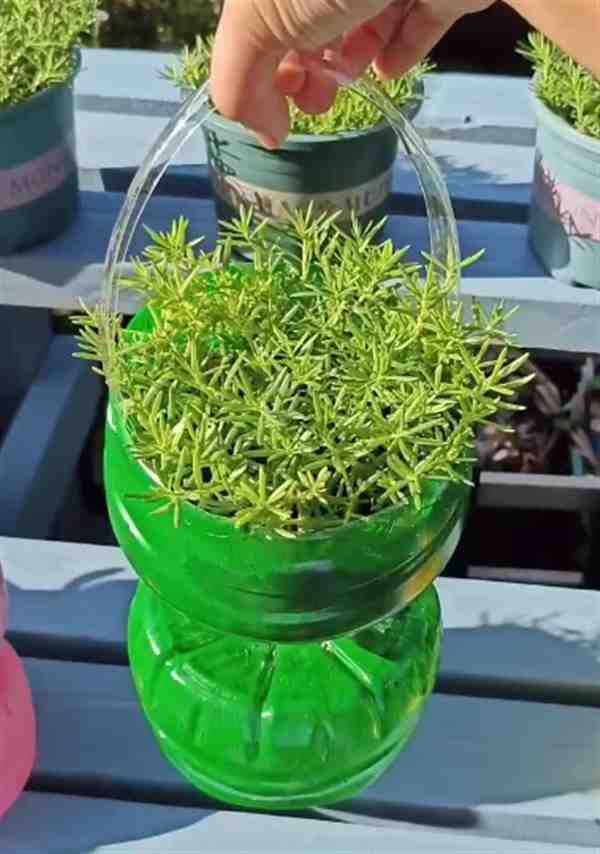 变废为宝用瓶子做花篮制作过程