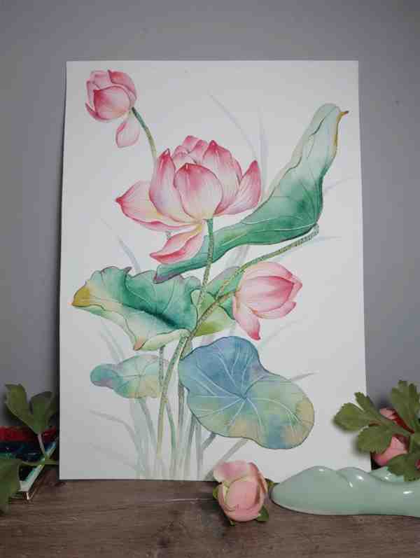 彩绘画: 一步一步教我画染荷花