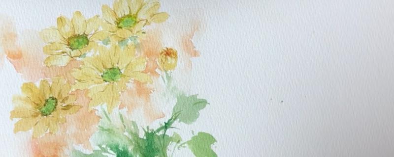 水彩花卉的画法，起稿时花瓣的细节都要画精细一些