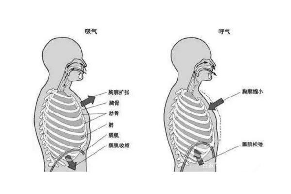 少年音怎么练伪音，首先需要了解少年音的特点和音色