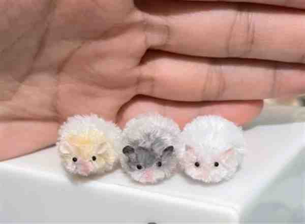 用扭扭棒编一只仓鼠的详细教程